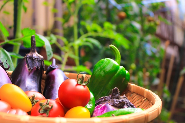 家庭菜園 野菜作りの基礎知識
